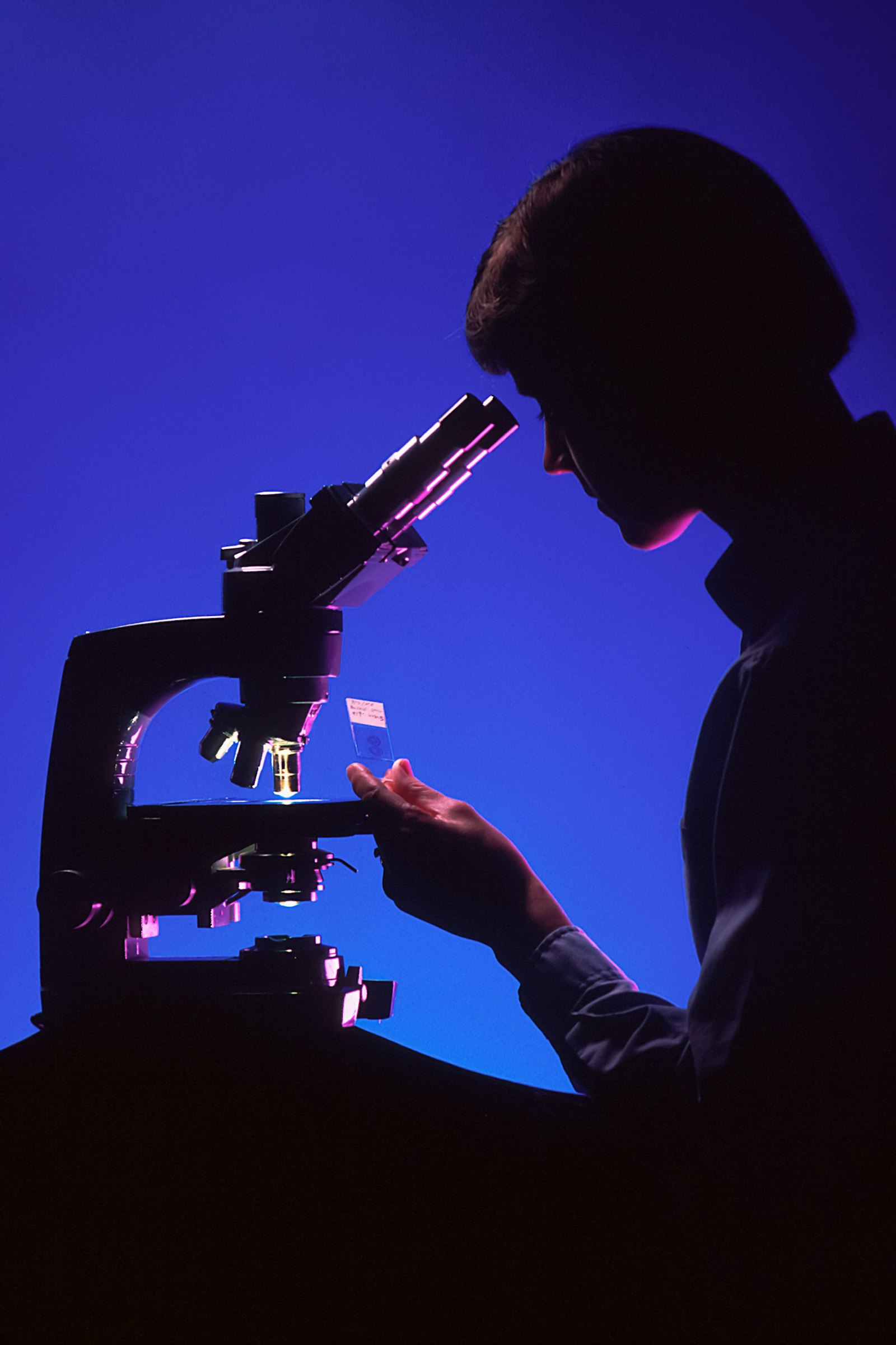 Scientific collaboration